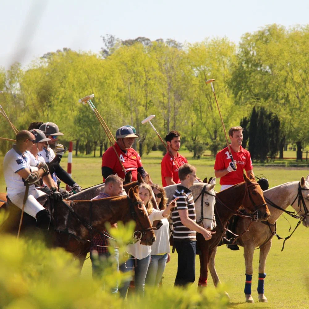 Dia de polo